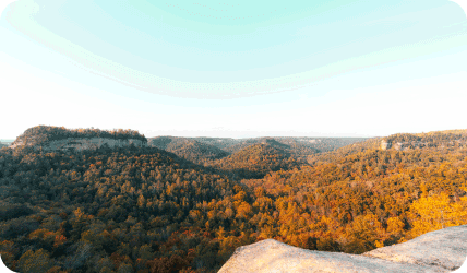 beautiful wooded mountains at sunset